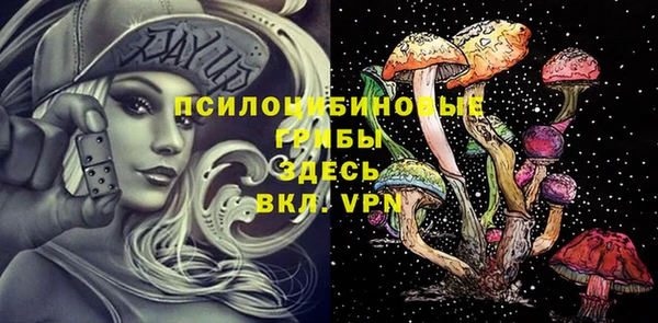 бошки Инсар