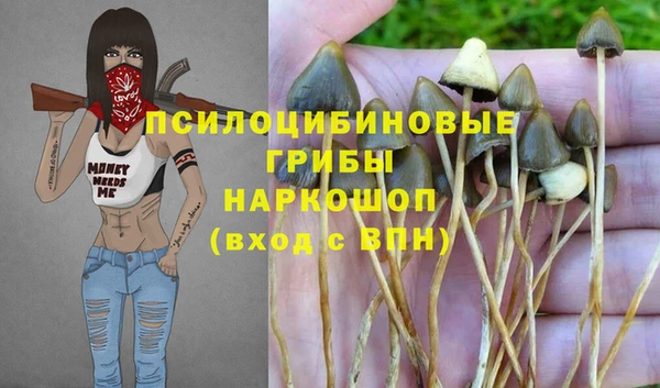 марки lsd Иннополис
