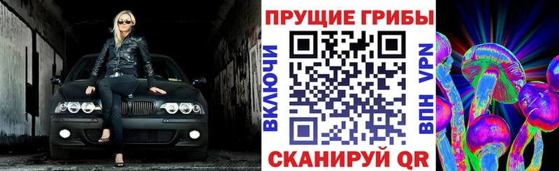 Купить где  Полевской  Псилоцибиновые грибы Psilocybe 